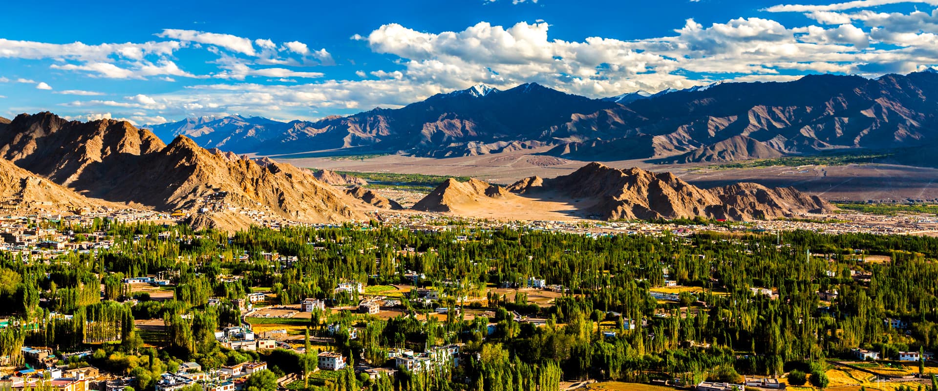 ariel view Leh town