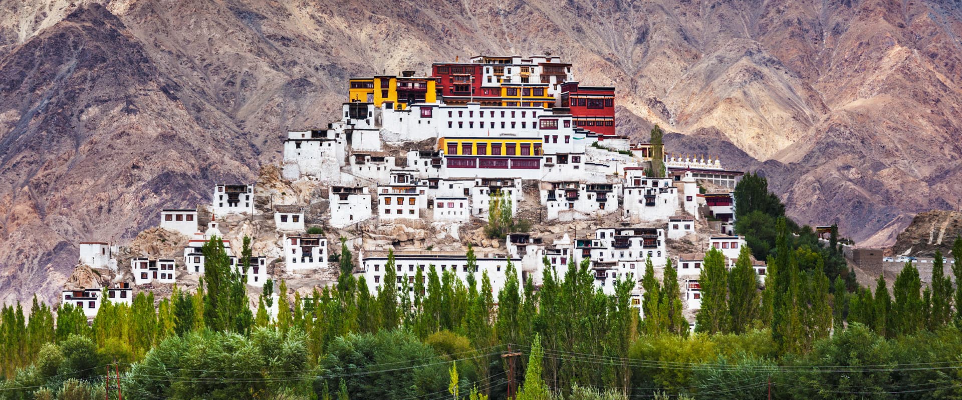 Thikshey Monastery Ladakh